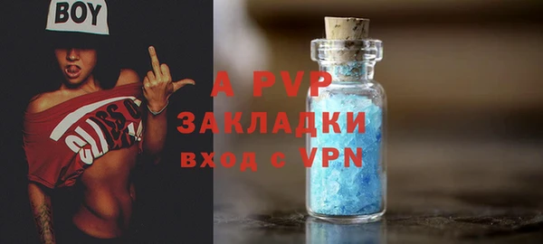 ПСИЛОЦИБИНОВЫЕ ГРИБЫ Каменногорск